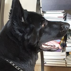 Meet your Posher, Solange